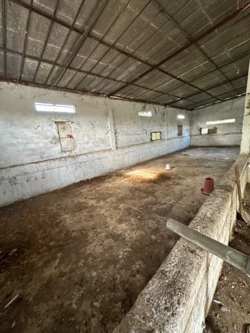 Location Hangar Alger Sidi moussa