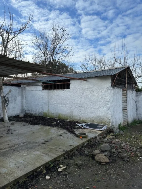 Location Hangar Alger Sidi moussa