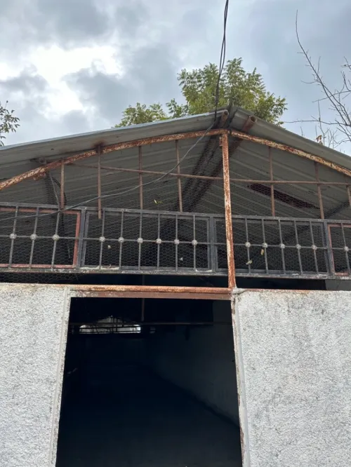Location Hangar Alger Sidi moussa