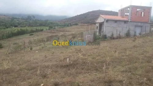 Vente Terrain Tipaza Meurad