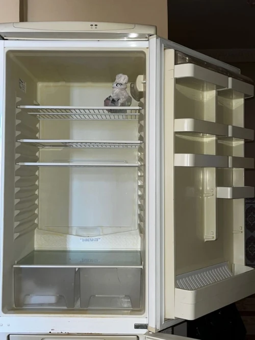 Frigo
