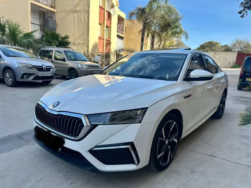 Skoda Octavia 2024 Pro
