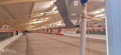 Cherche achat Hangar Alger Birtouta
