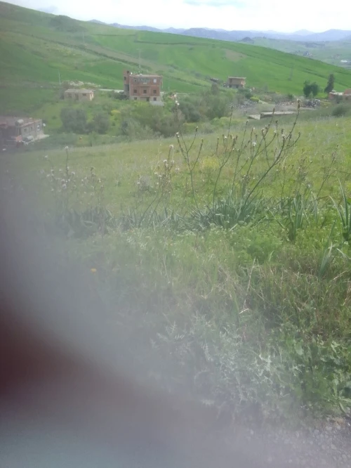Vente Terrain Tizi Ouzou Agouni gueghrane