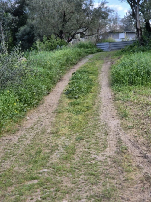 Location Terrain Tizi Ouzou Tizi ouzou