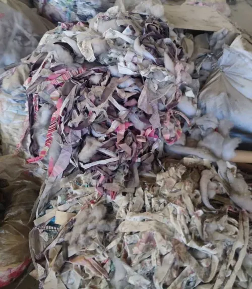 Dechets Tissu et Ouate