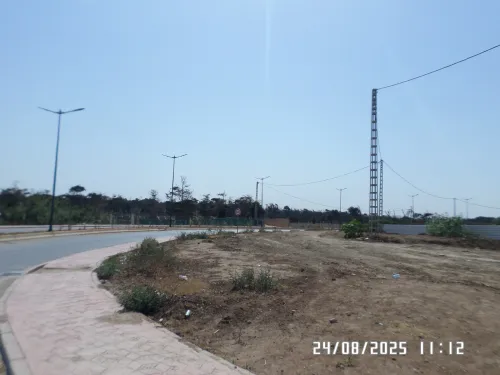 Vente Terrain Alger Staoueli