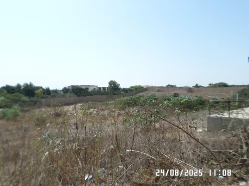Vente Terrain Alger Staoueli