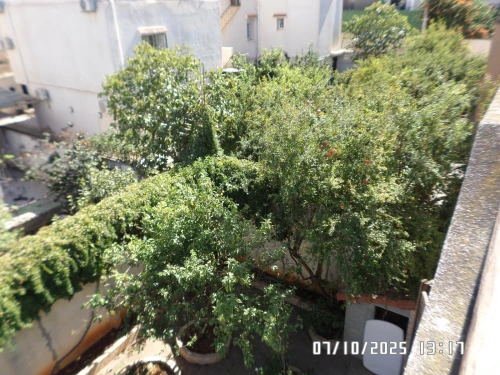 Vente Villa Alger Cheraga