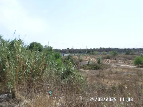 Vente Terrain Alger Staoueli