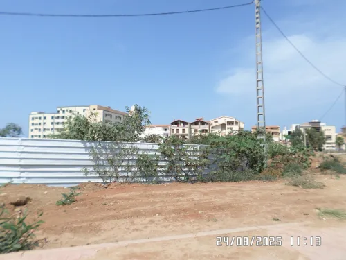 Vente Terrain Alger Staoueli