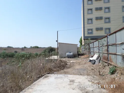 Vente Terrain Alger Staoueli