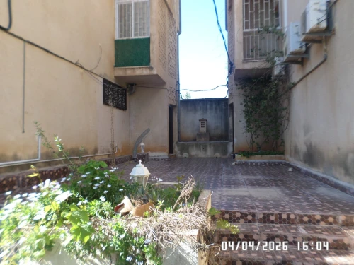 Vente Appartement F3 Alger Cheraga