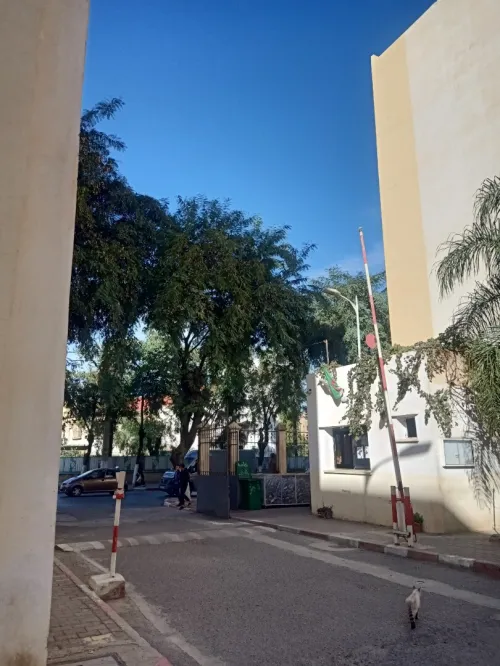 Vente Appartement F4 Blida Blida