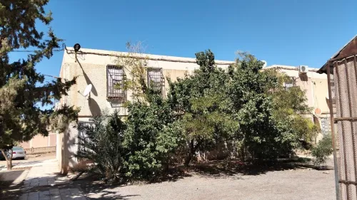 Vente Appartement F3 Saïda Saida
