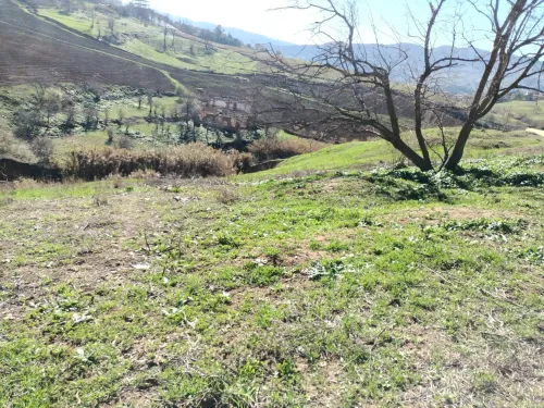 Vente Terrain Médéa Medea