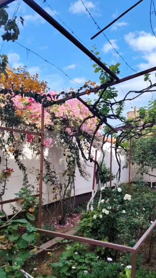 Vente Villa Alger Hraoua