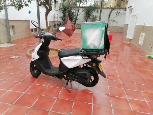 Vms Joci 2024