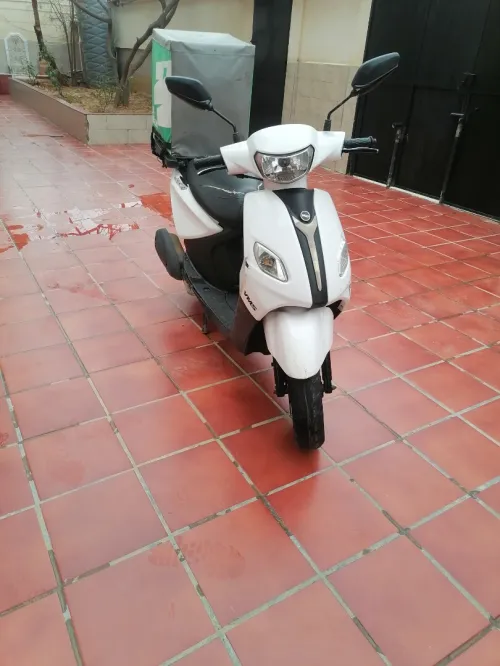 Vms Joci 2024