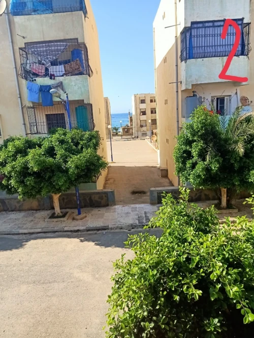 Location bien immobilier Chlef El marsa