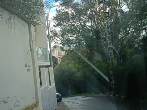 Vente Appartement F2 F3 F4 Alger Draria