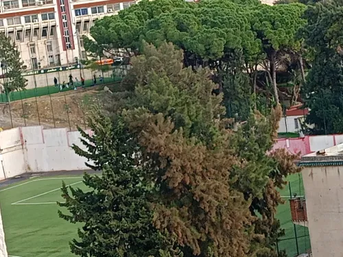 Vente Appartement F4 Alger El achour