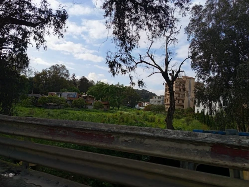 Vente Terrain Alger Draria 5
