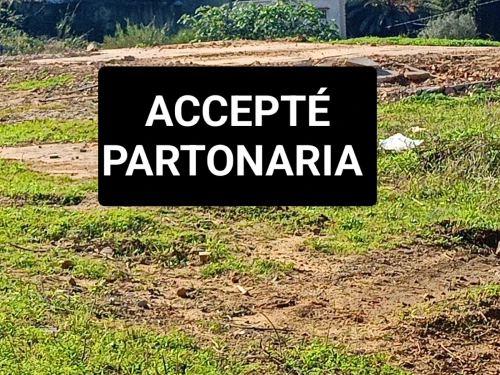 Vente Terrain Alger Draria 8