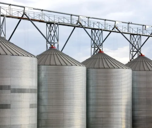 Fumigation gaz PH3 des denrées agroalimentaires sur 58 wilayas 