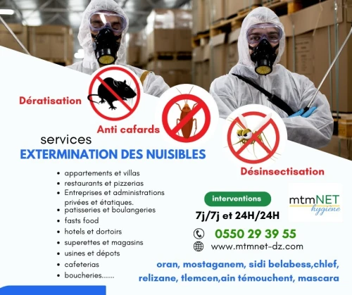Désinsectisation des puces القضاء على البرغوث à mascara 