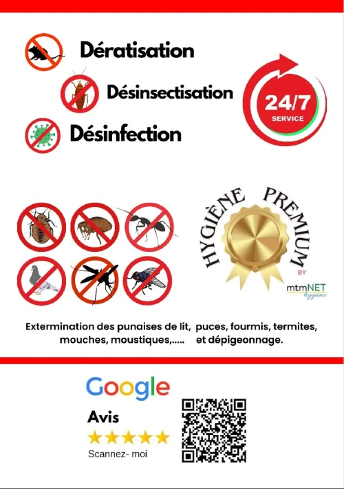 Désinsectisation des fourmis, termites et fourmilières à ain témouchent 