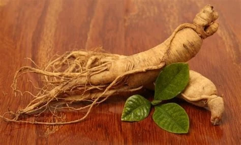 GINSENG blanc et rouge ( Extrait-racine séchée -poudre) جينسينج أبيض و أحمر - جذور (مسحوق- مجفف)