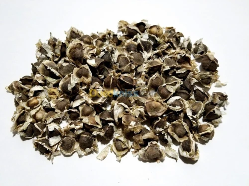 MORINGA: feuille - poudre- graine - graine décortiquée أوراق و بذور المورينجا
