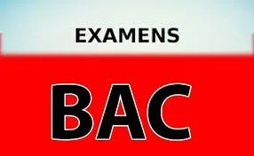 Cours d'anglais à domicile 