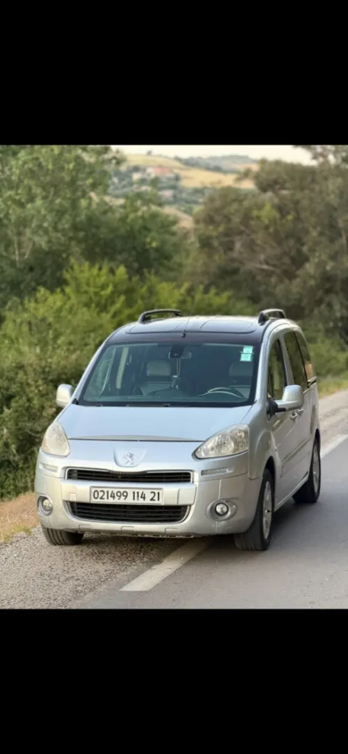 Peugeot Partner 2014 Tepee