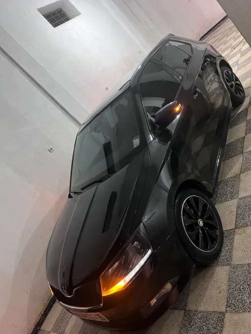 Skoda Fabia 2017 Monte Carlo