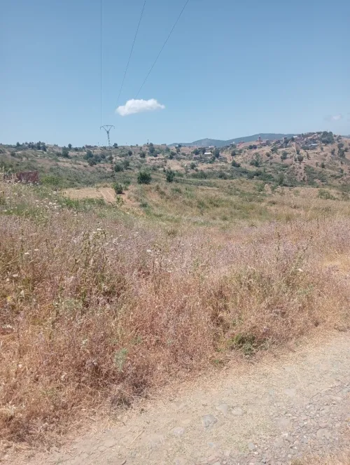 Vente Terrain Béjaïa Adekar
