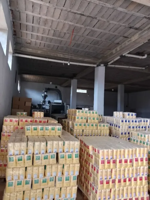 Location Hangar Alger Birtouta