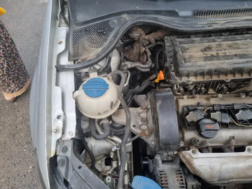 Volkswagen Polo 2009 Polo