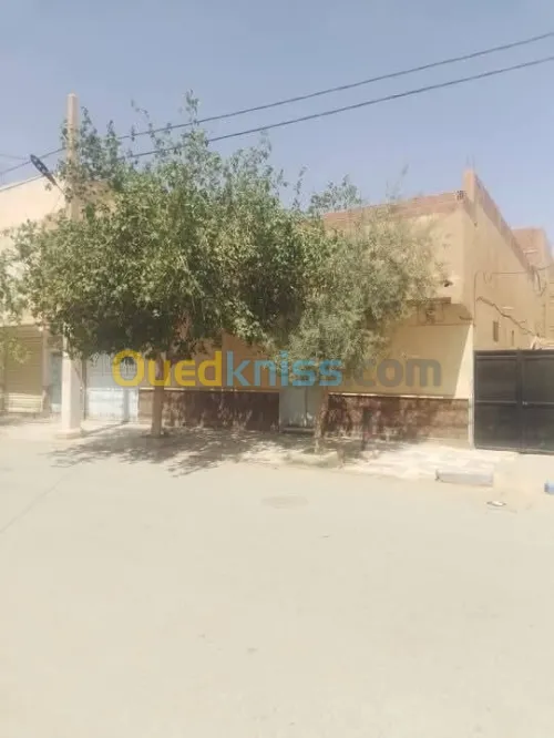 Vente Villa Laghouat Laghouat