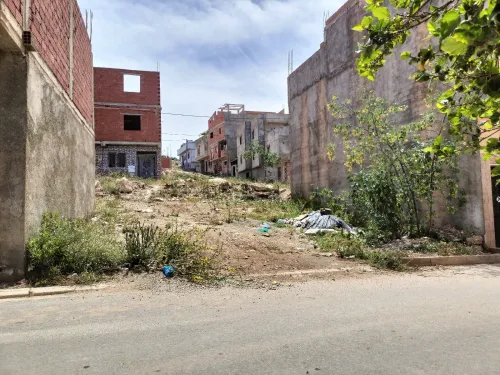 Vente Terrain Tlemcen Marsa ben mhidi