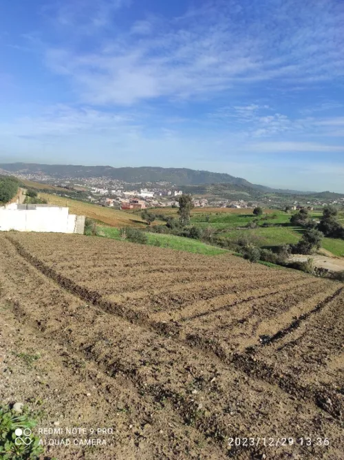 Vente Terrain Boumerdès Larbatache