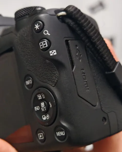 Canon R100