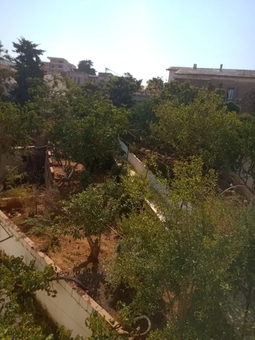Vente Villa Alger El biar