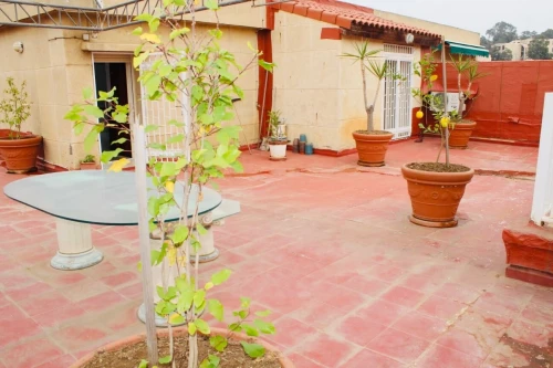 Location Appartement Duplex F7 Alger Hydra