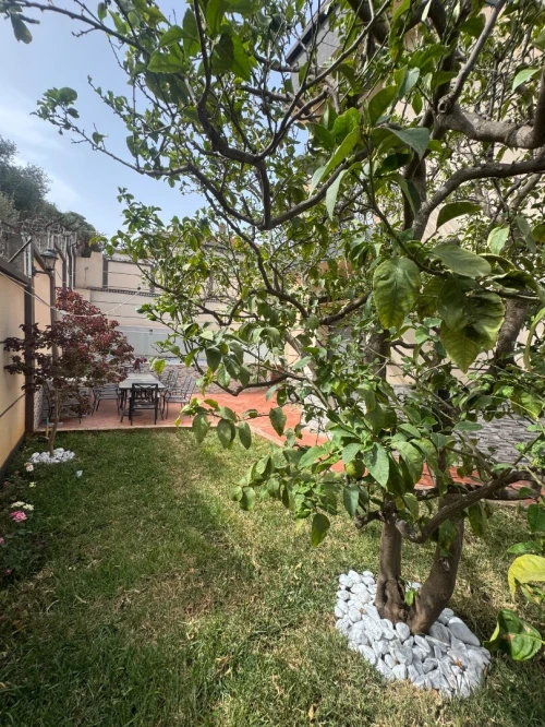 Location Villa Alger El mouradia