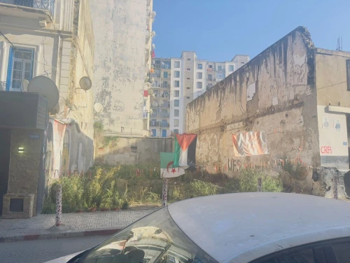 Vente Terrain Alger Belouizdad