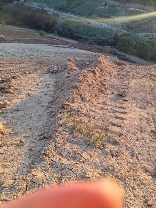 Vente Terrain Alger Zeralda