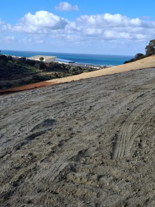 Vente Terrain Alger Zeralda
