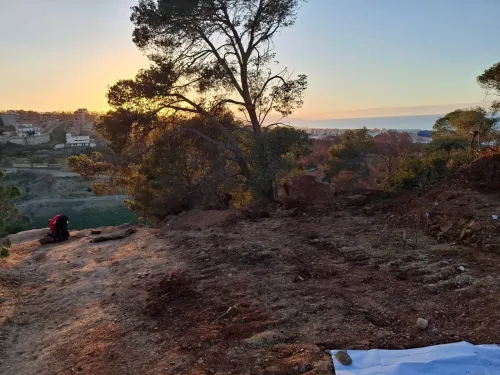 Vente Terrain Alger Zeralda